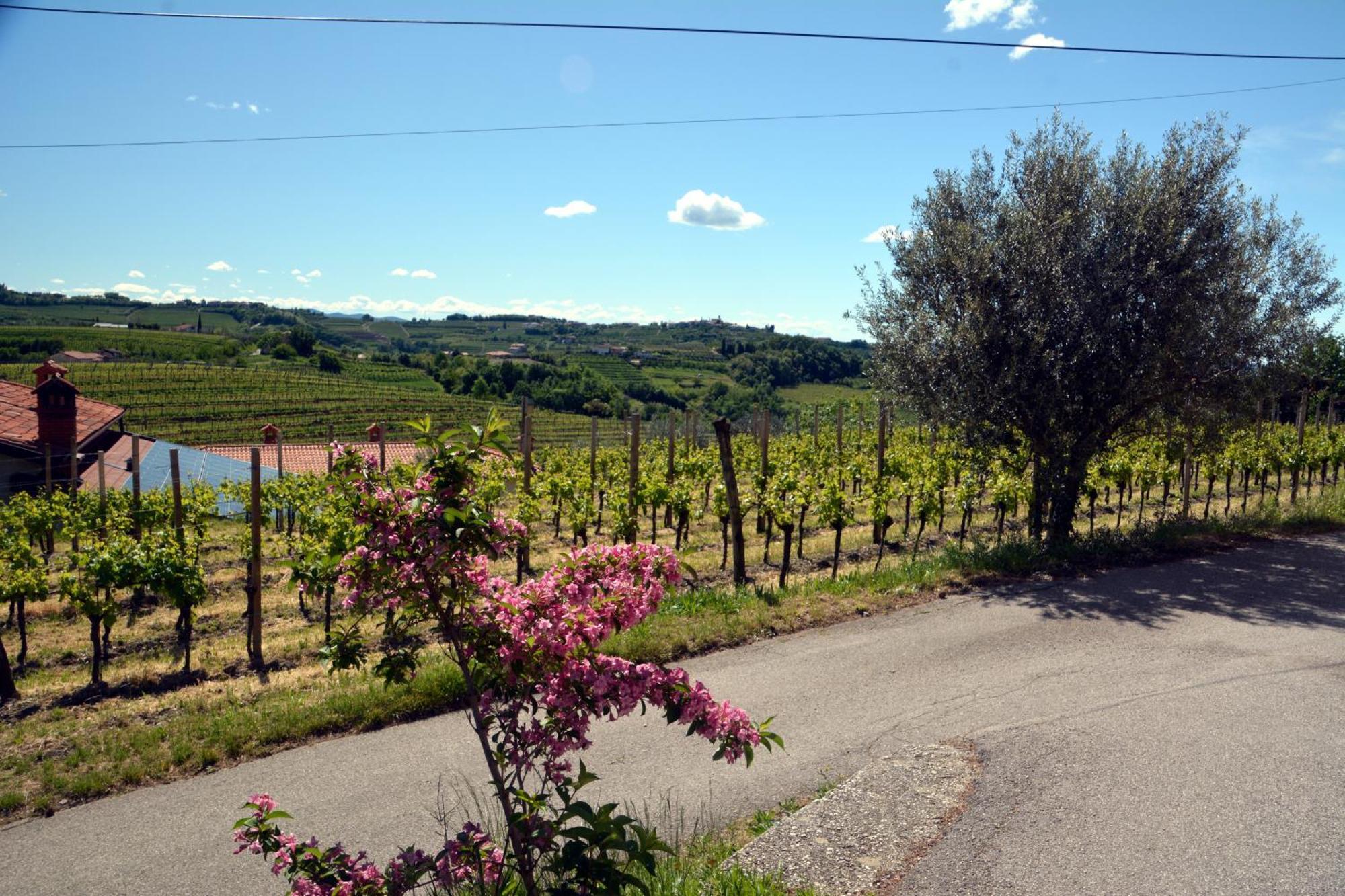 Villa Hisa V Travniku Smartno Esterno foto